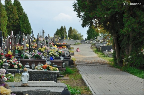 cmentarz Mińsk Mazowiecki