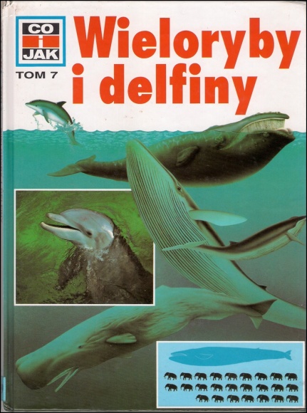 Wieloryby i delfiny