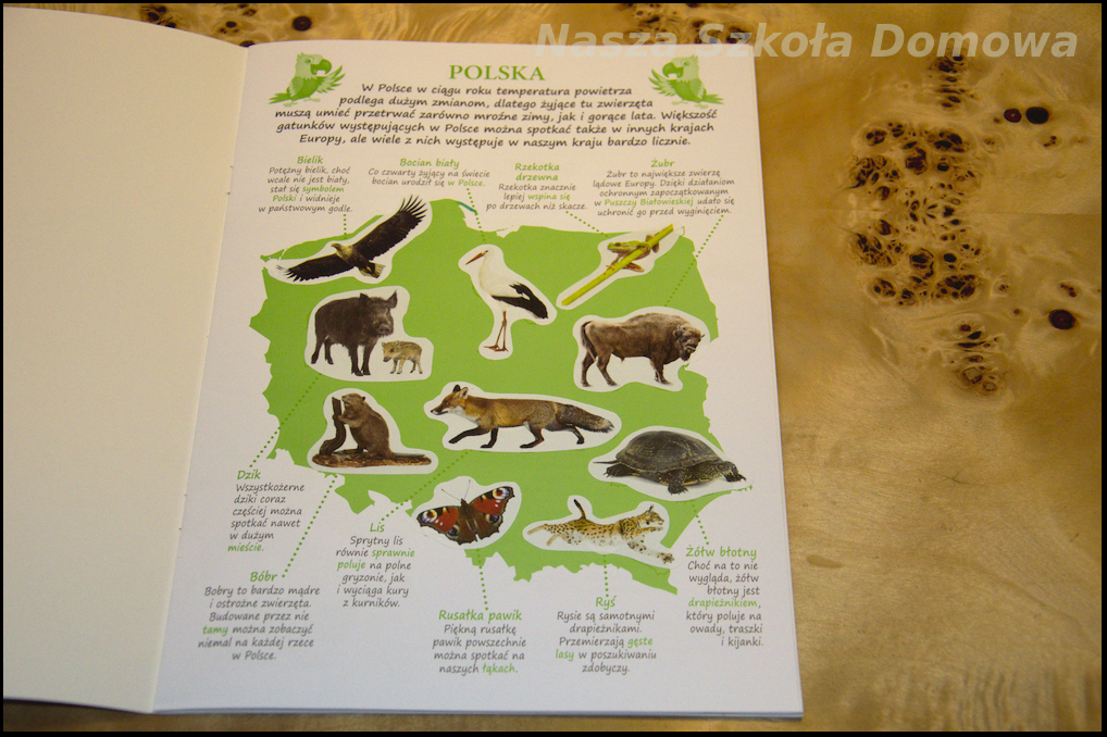Mapa Polski - zwierzęta