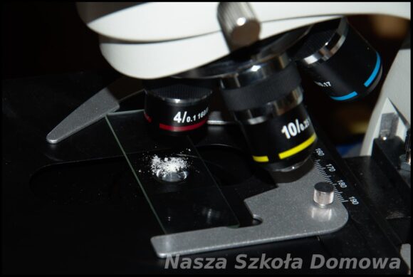 mikroskop - obserwacja soli